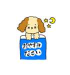 トイプードルのノアくん（個別スタンプ：2）