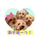 Marron Family rev（個別スタンプ：25）