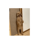 お帰りやす（個別スタンプ：1）