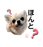 キキたんず7(驚き)（個別スタンプ：3）