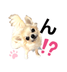 キキたんず7(驚き)（個別スタンプ：6）