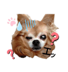 キキたんず7(驚き)（個別スタンプ：9）