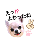 キキたんず7(驚き)（個別スタンプ：12）