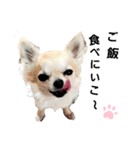 キキたんず10（個別スタンプ：6）
