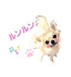 キキたんず10（個別スタンプ：8）