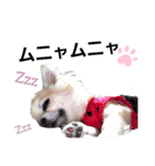 キキたんず10（個別スタンプ：12）