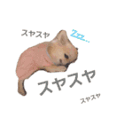 キキたんず10（個別スタンプ：13）