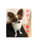 アリスの野望（個別スタンプ：1）