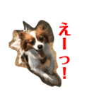 アリスの野望（個別スタンプ：3）