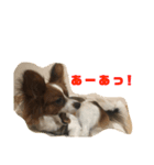 アリスの野望（個別スタンプ：6）