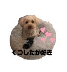 山木秀夫スタンプ（個別スタンプ：8）