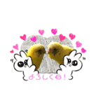 癒されインコのかわいいスタンプ②（個別スタンプ：2）