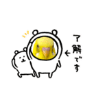 癒されインコのかわいいスタンプ②（個別スタンプ：3）
