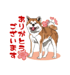 秋田犬のLineスタンプ（個別スタンプ：1）