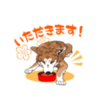 秋田犬のLineスタンプ（個別スタンプ：2）