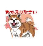 秋田犬のLineスタンプ（個別スタンプ：3）