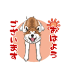 秋田犬のLineスタンプ（個別スタンプ：5）