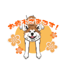 秋田犬のLineスタンプ（個別スタンプ：8）