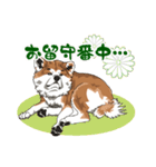 秋田犬のLineスタンプ（個別スタンプ：9）