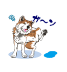 秋田犬のLineスタンプ（個別スタンプ：10）