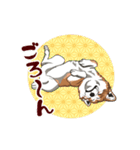 秋田犬のLineスタンプ（個別スタンプ：13）