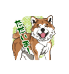 秋田犬のLineスタンプ（個別スタンプ：15）