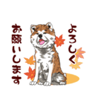 秋田犬のLineスタンプ（個別スタンプ：18）