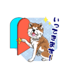 秋田犬のLineスタンプ（個別スタンプ：20）