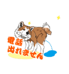 秋田犬のLineスタンプ（個別スタンプ：23）