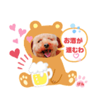 トイプーのげんちゃん 6月（個別スタンプ：3）