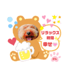 トイプーのげんちゃん 6月（個別スタンプ：4）