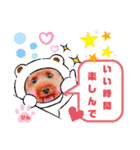トイプーのげんちゃん 6月（個別スタンプ：7）