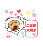 トイプーのげんちゃん 6月（個別スタンプ：8）