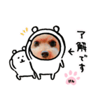 トイプーのげんちゃん 6月（個別スタンプ：20）