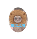 yuyuringo1220（個別スタンプ：1）