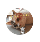 yuyuringo1220（個別スタンプ：3）