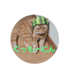 yuyuringo1220（個別スタンプ：4）