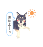黒豆柴のゆずちゃん。（個別スタンプ：4）