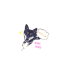 黒豆柴のゆずちゃん。（個別スタンプ：7）