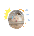 あつまれ子供達〜（個別スタンプ：7）
