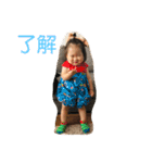 toa_30325（個別スタンプ：7）