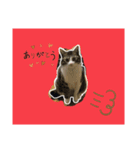 ぽんのゴロゴロすたんぷ（個別スタンプ：3）
