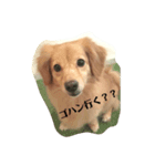 イキモノノキモチ①（個別スタンプ：3）