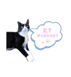 こんな日もあるだろうねこ（個別スタンプ：6）
