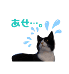 こんな日もあるだろうねこ（個別スタンプ：9）