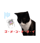こんな日もあるだろうねこ（個別スタンプ：12）
