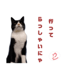 こんな日もあるだろうねこ（個別スタンプ：18）