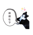 こんな日もあるだろうねこ（個別スタンプ：30）
