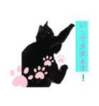 僕、ぎん太君です（個別スタンプ：3）