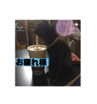僕、ぎん太君です（個別スタンプ：4）